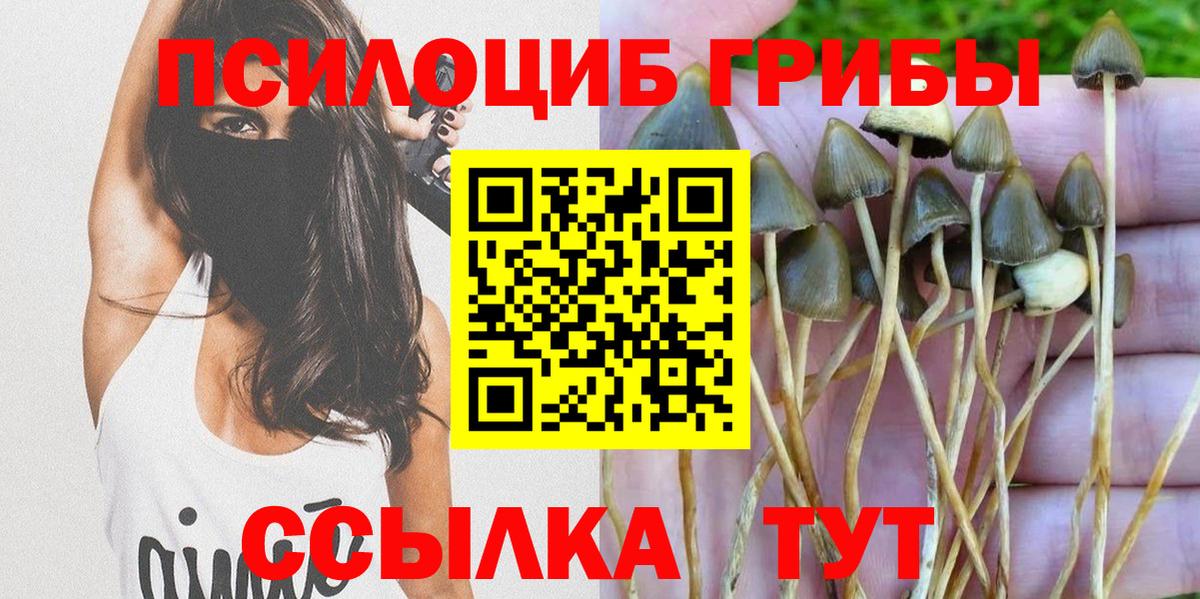 Галлюциногенные грибы ЛСД Протвино