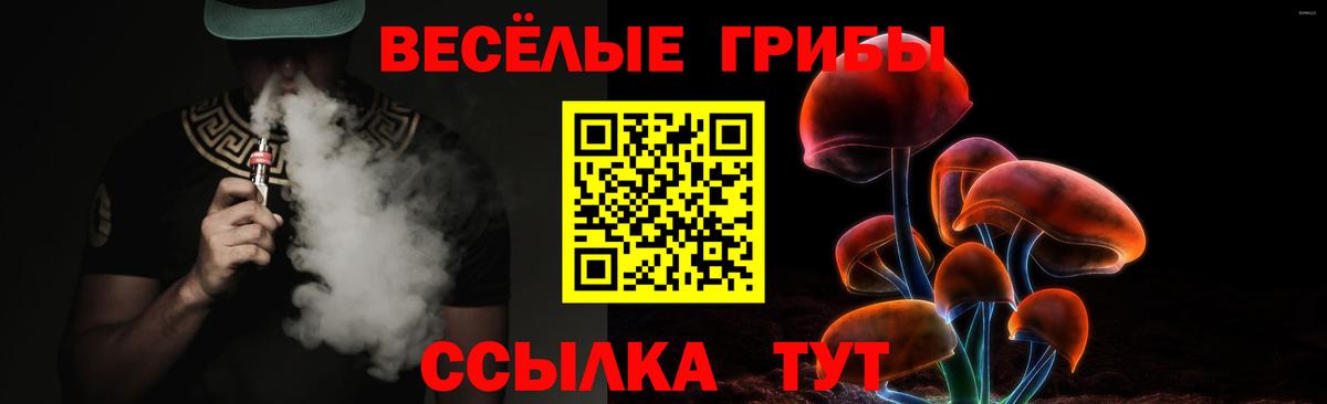 Псилоцибиновые грибы мицелий  Вход с VPN  Псилоцибиновые грибы Cubensis  Протвино 
