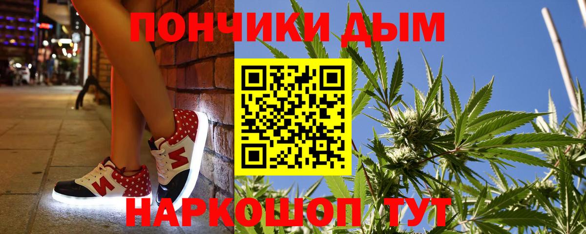 Бошки марихуана конопля Протвино